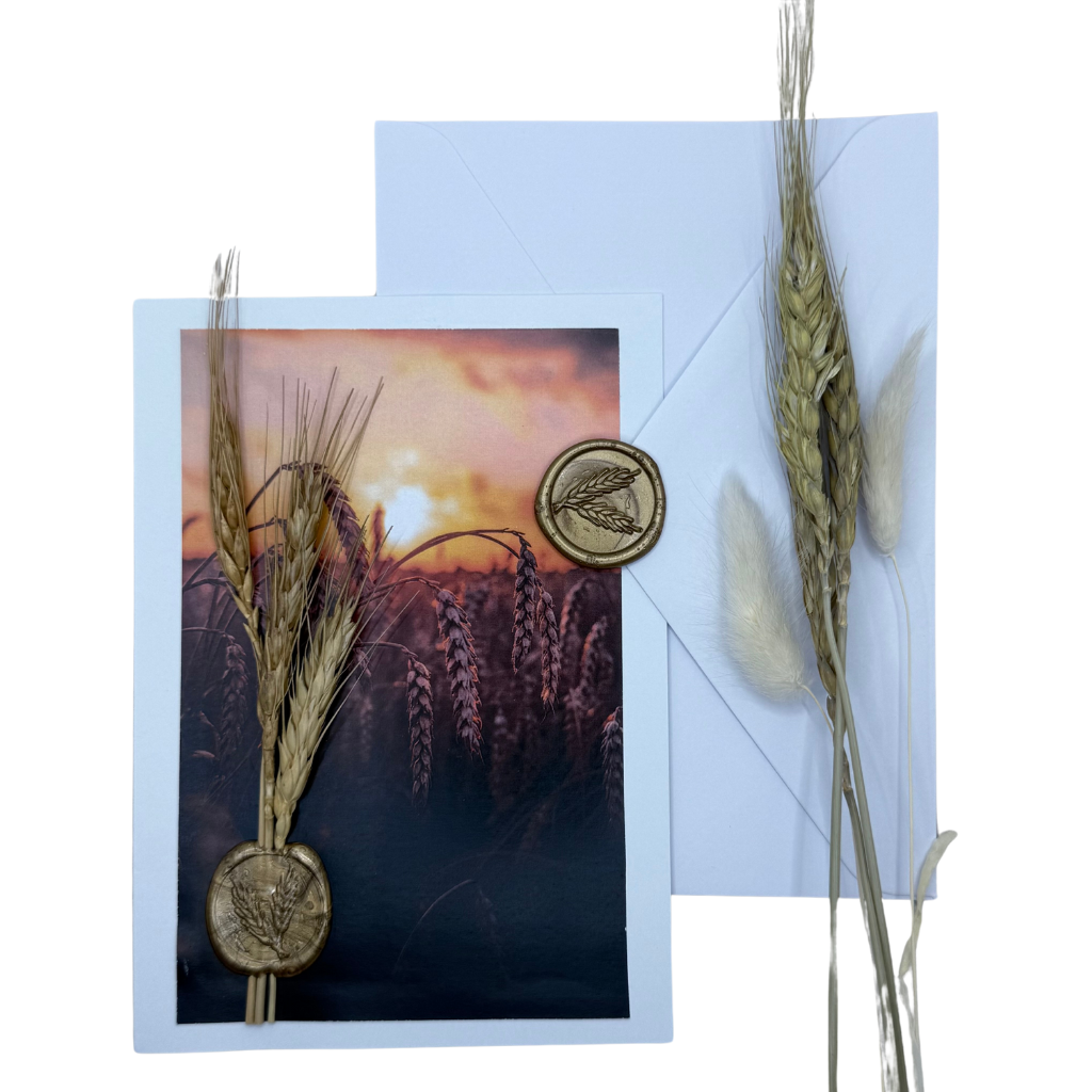 Tarjeta de puesta de sol de trigo con color naranja cálido, 5 x 7 pulgadas