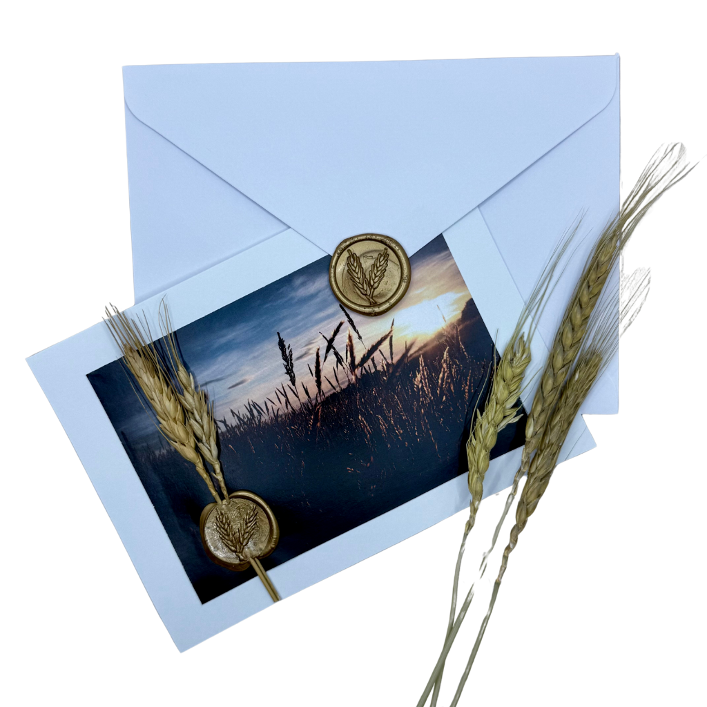 Card from field to heart, sealed with love, 5 x 7 in